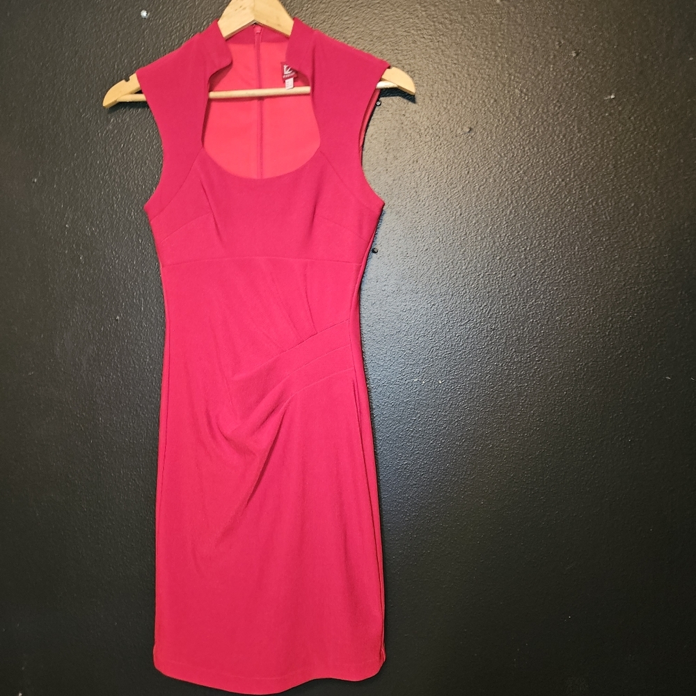 Minelli Dress